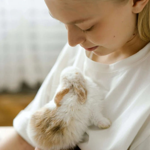 Cauzele care pot face un iepure să refuze consumul de fan